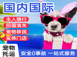 丹东航空物流国际宠物托运 【国